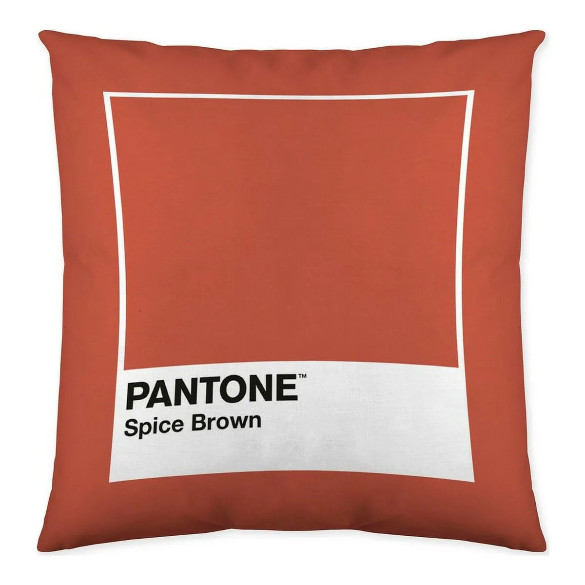 Fodera per cuscino Fun Deck C Pantone Localization-B086JQKNTH Reversibile (50 x 50 cm)