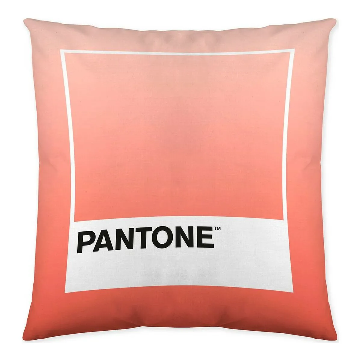 Fodera per cuscino Ombre B Pantone Localization-B086JQB7QD Reversibile (50 x 50 cm)