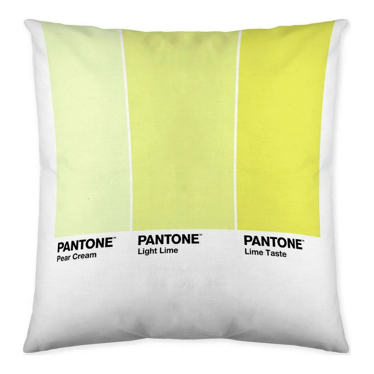 Fodera per cuscino Ombre C Pantone Localization_B086JQZYZH Reversibile (50 x 50 cm)