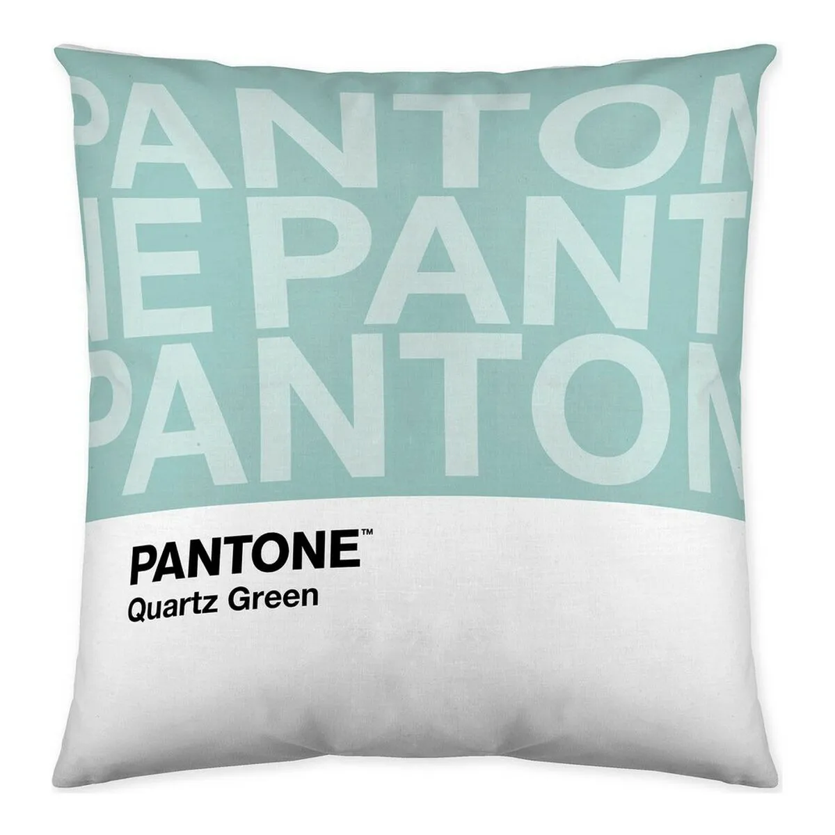 Fodera per cuscino Two Colours Pantone Localization-B086JPZ8ML Reversibile (50 x 50 cm)