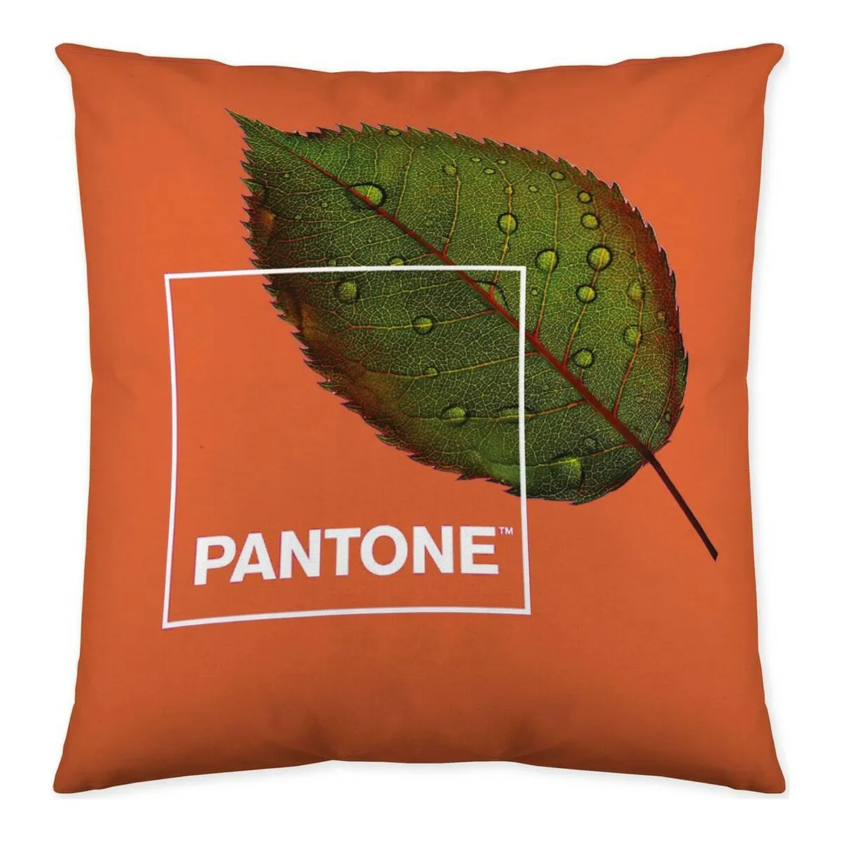 Fodera per cuscino Nature Pantone Reversibile (50 x 50 cm)