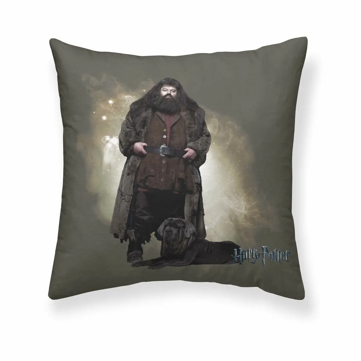 Fodera per cuscino Harry Potter Hagrid 50 x 50 cm