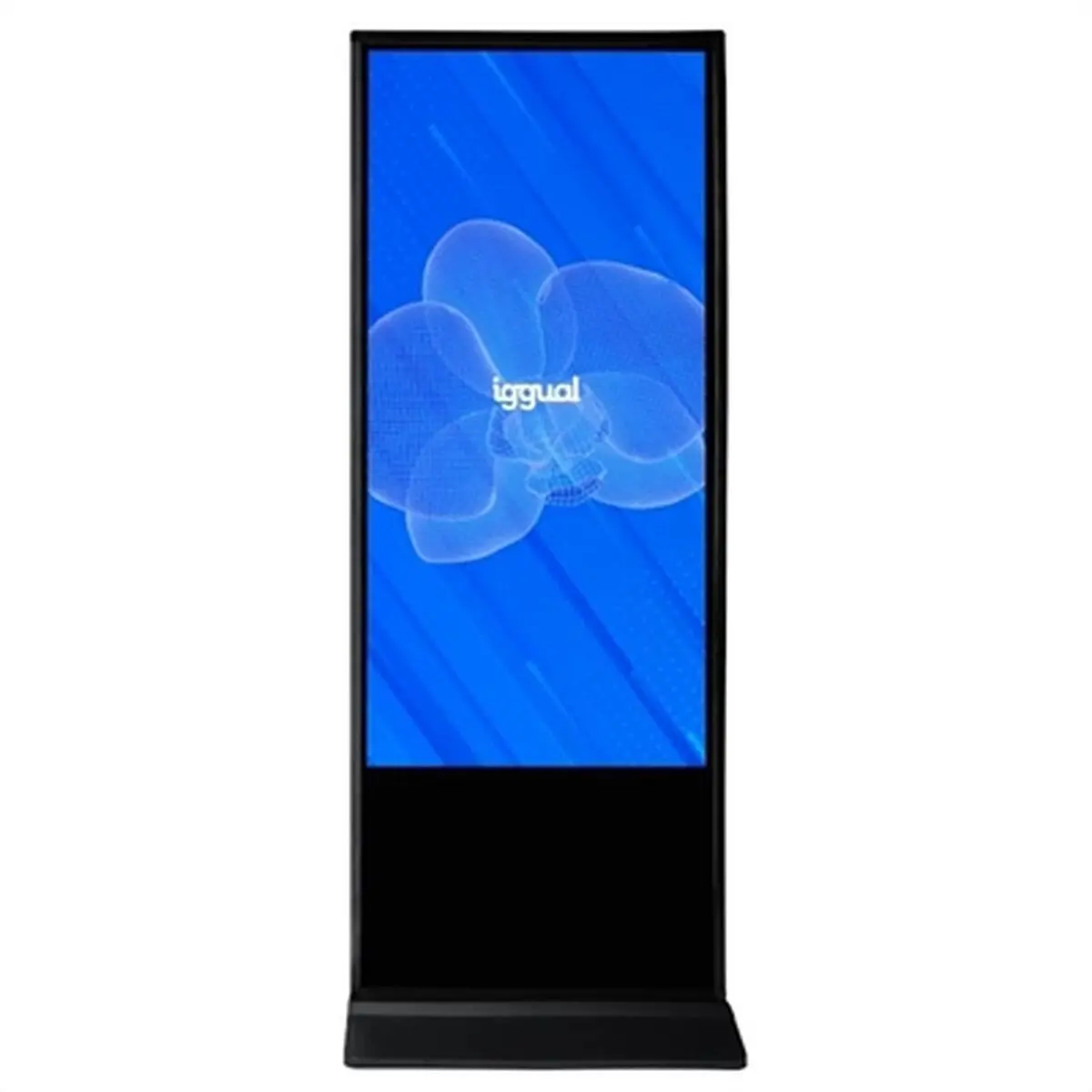 Touch Screen Interattivo iggual IGG318799 55"