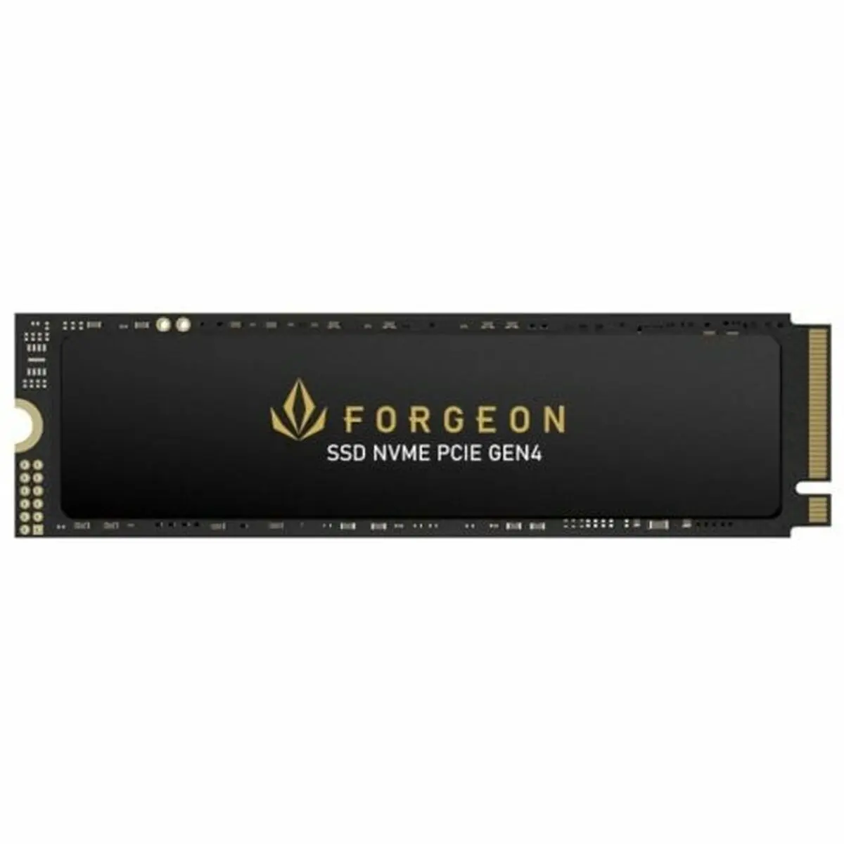 Hard Disk Forgeon 1 TB