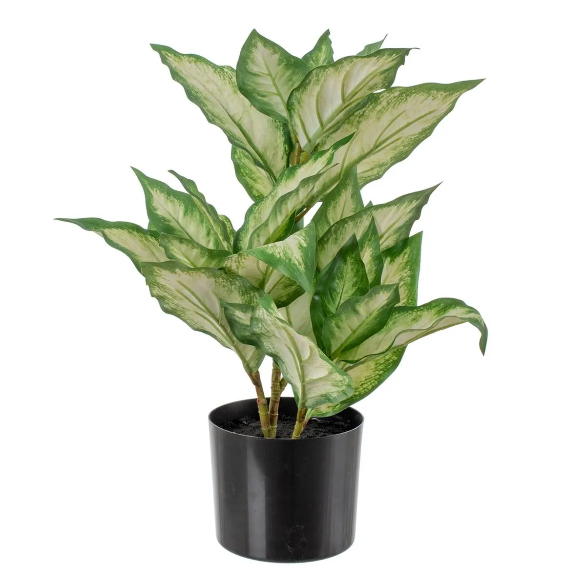 Pianta Decorativa Polietilene PEVA Dieffenbachia 42 x 42 x 52 cm