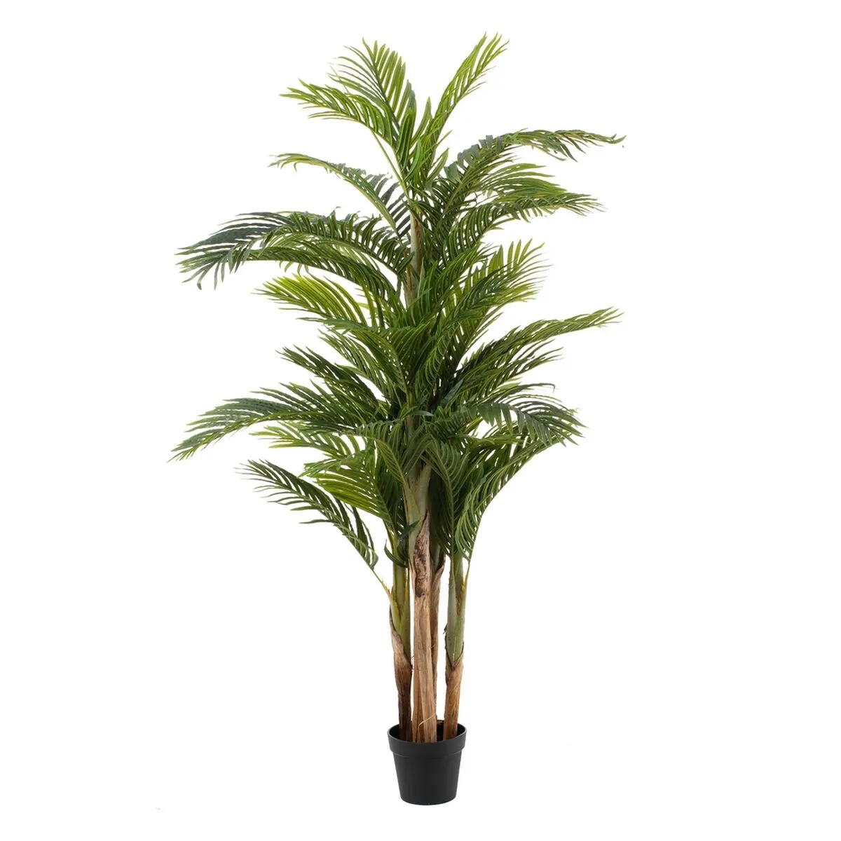 Pianta Decorativa Polietilene Areca 189 cm