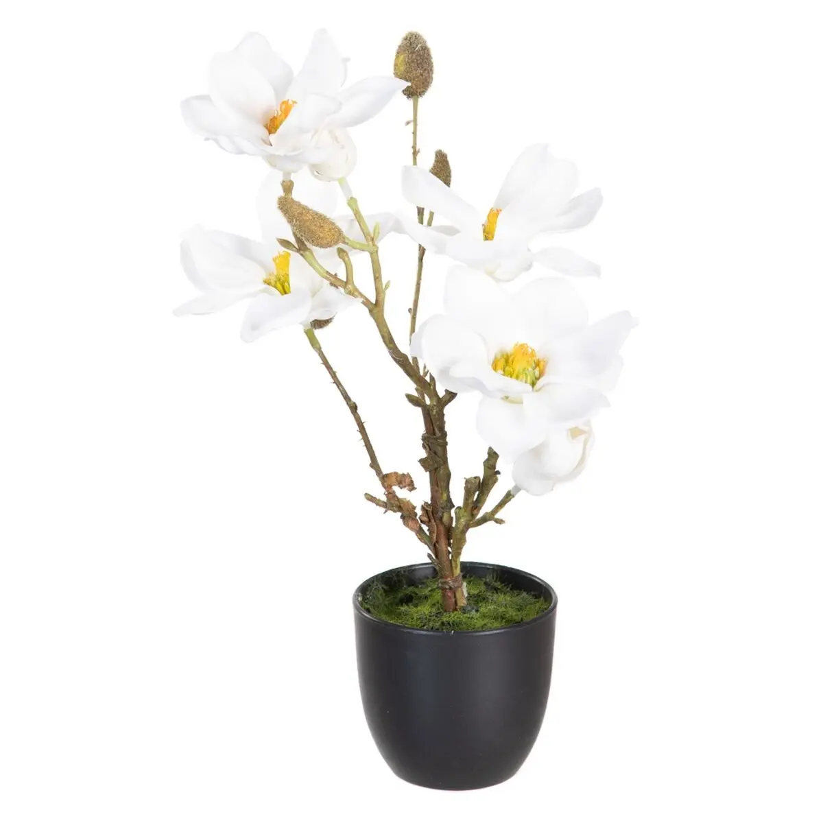 Pianta Decorativa Poliestere Polietilene Ferro 22 x 22 x 38 cm Magnolia