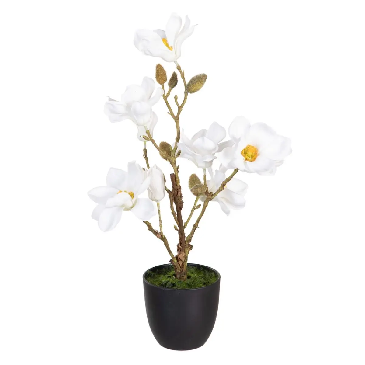 Pianta Decorativa Poliestere Polietilene Ferro 25 x 25 x 49 cm Magnolia