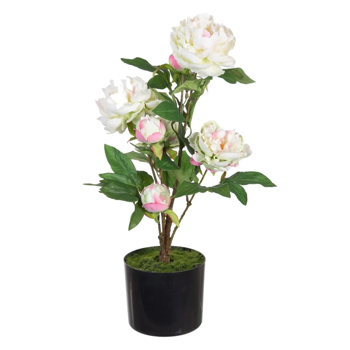 Pianta Decorativa 34 x 30 x 59 cm Crema Peonia