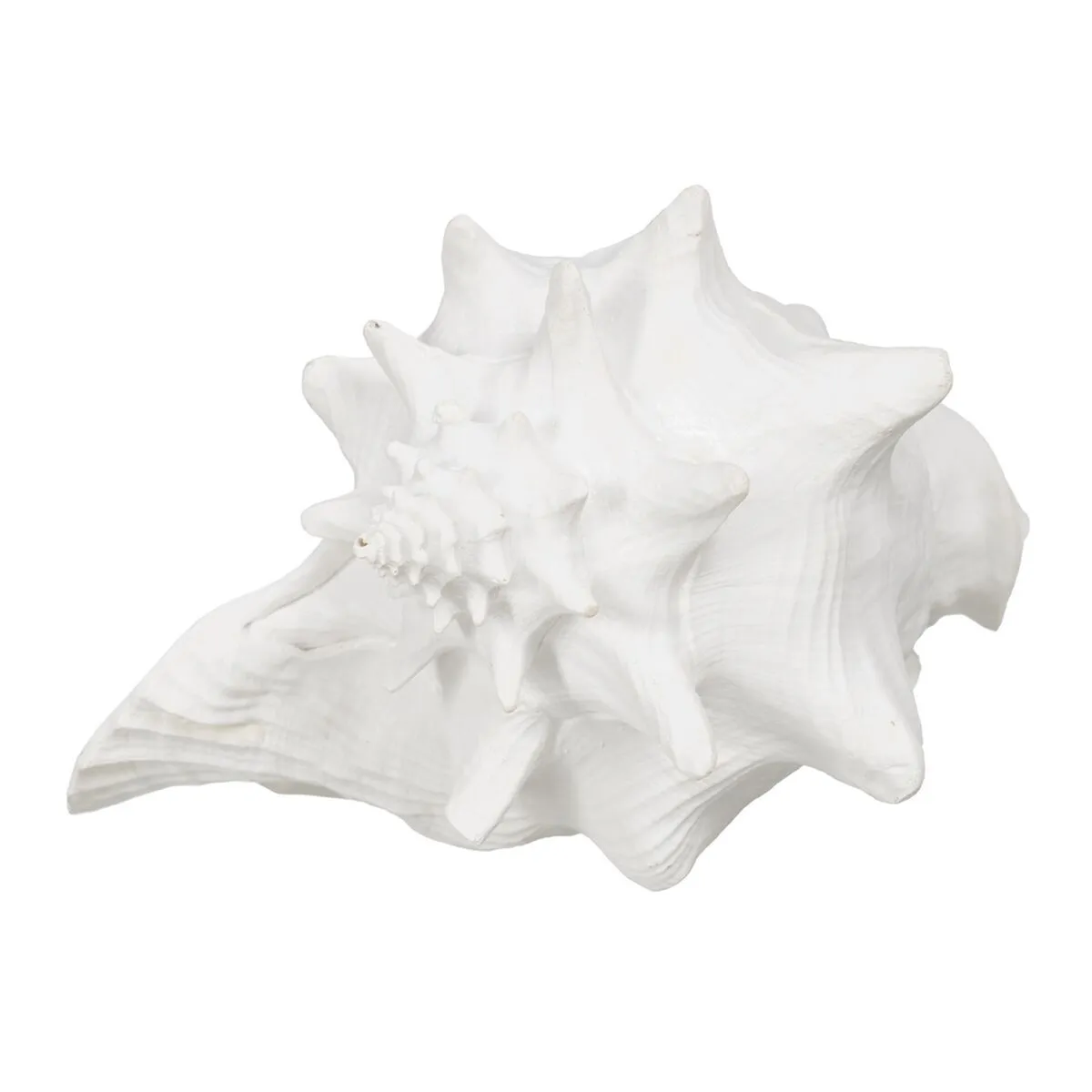 Statua Decorativa Bianco Conchiglia 21 x 19 x 13 cm