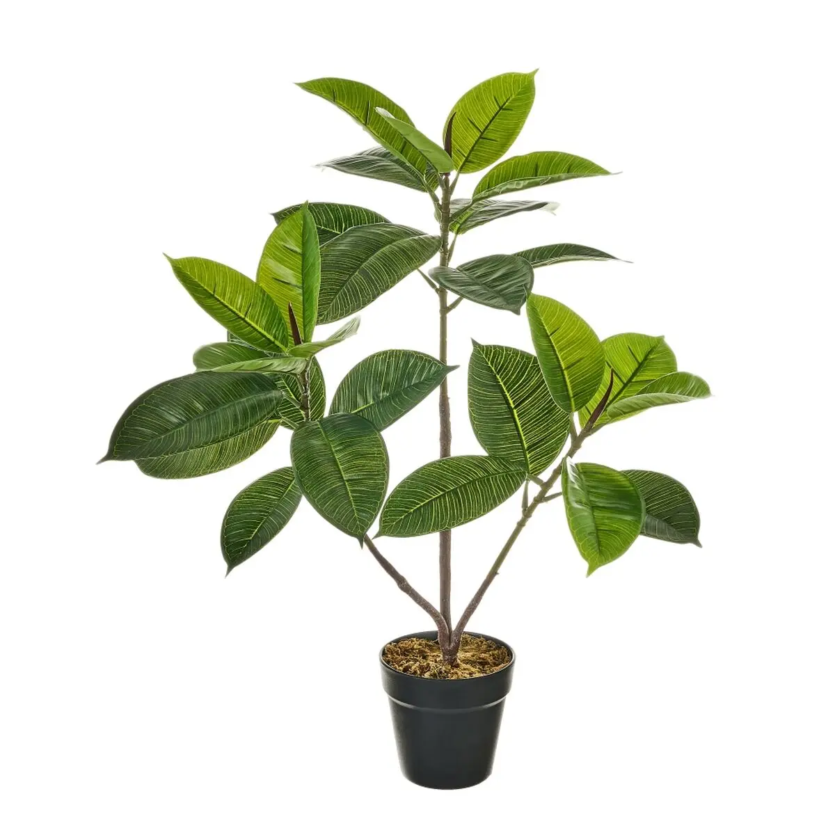 Pianta Decorativa Polietilene Plastica Ficus 40 x 40 x 75 cm