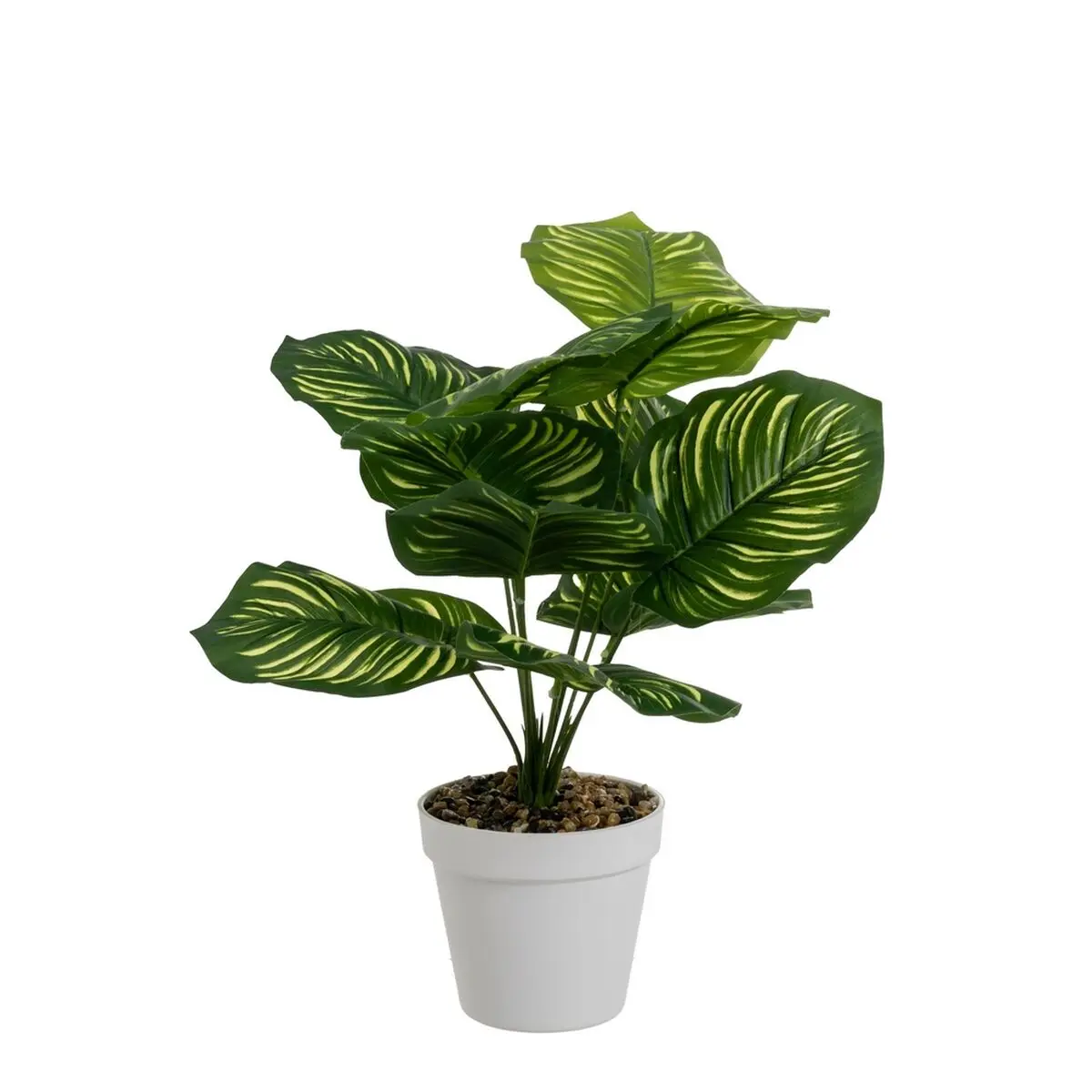 Pianta Decorativa Polietilene Plastica Calathea 28 x 28 x 37 cm