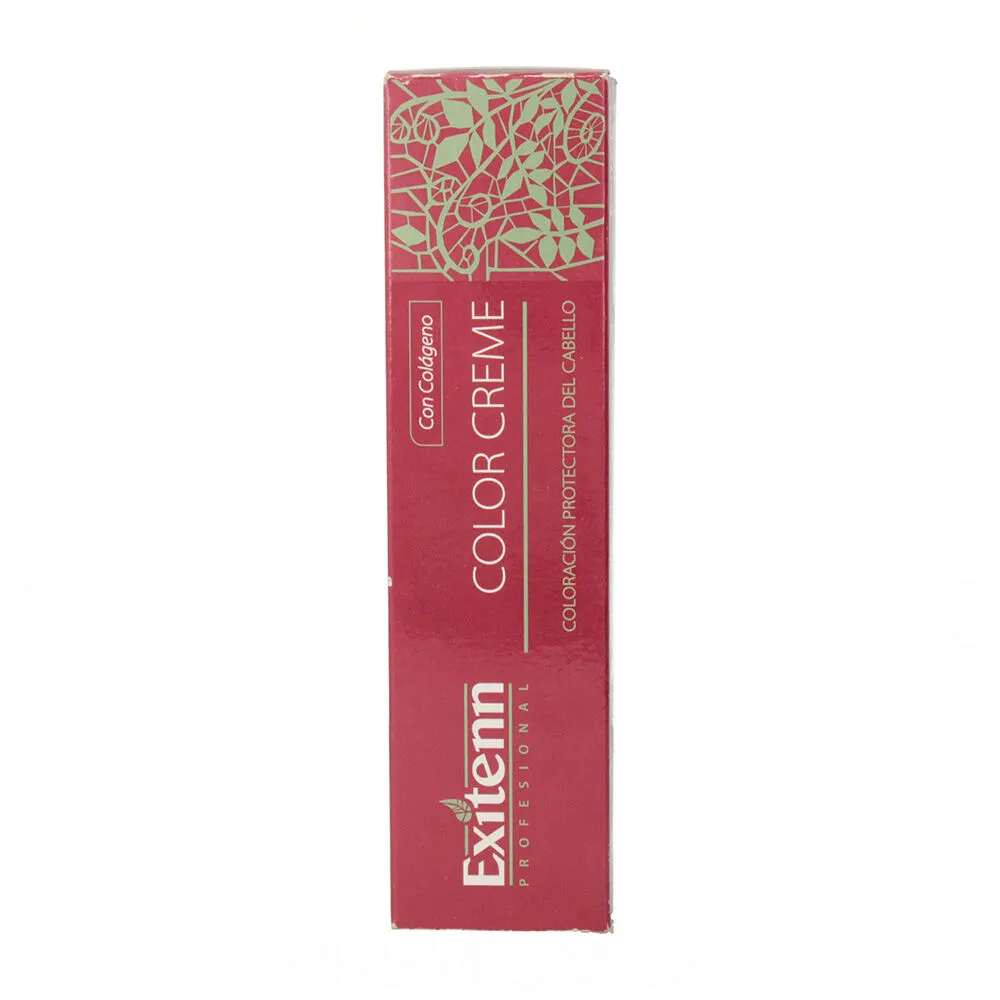 Tintura Permanente Exitenn Color Creme Nº 12/0.22 (60 ml)