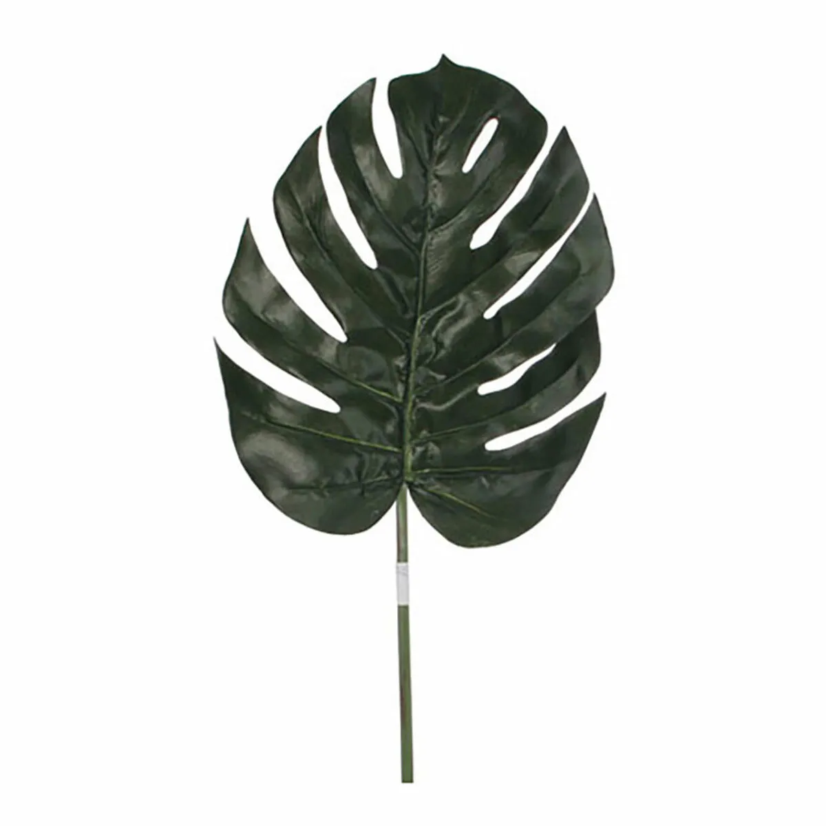 Corpetti Mica Decorations 88 cm Monstera Verde