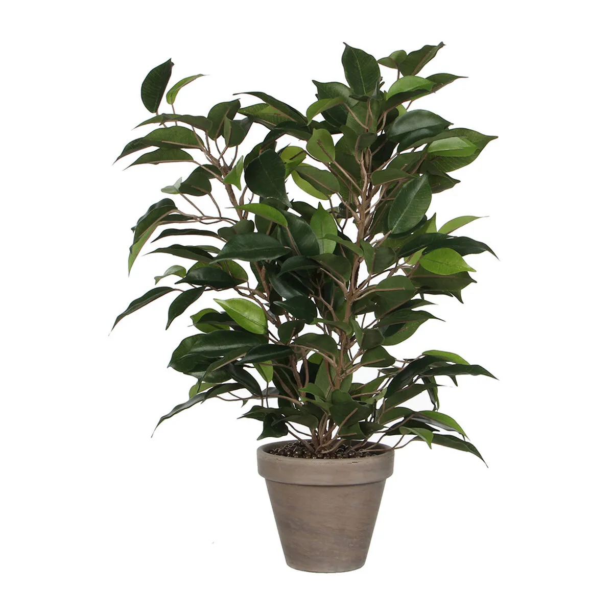 Pianta Decorativa Mica Decorations 40 x 30 cm Ceramica Verde PVC Ficus