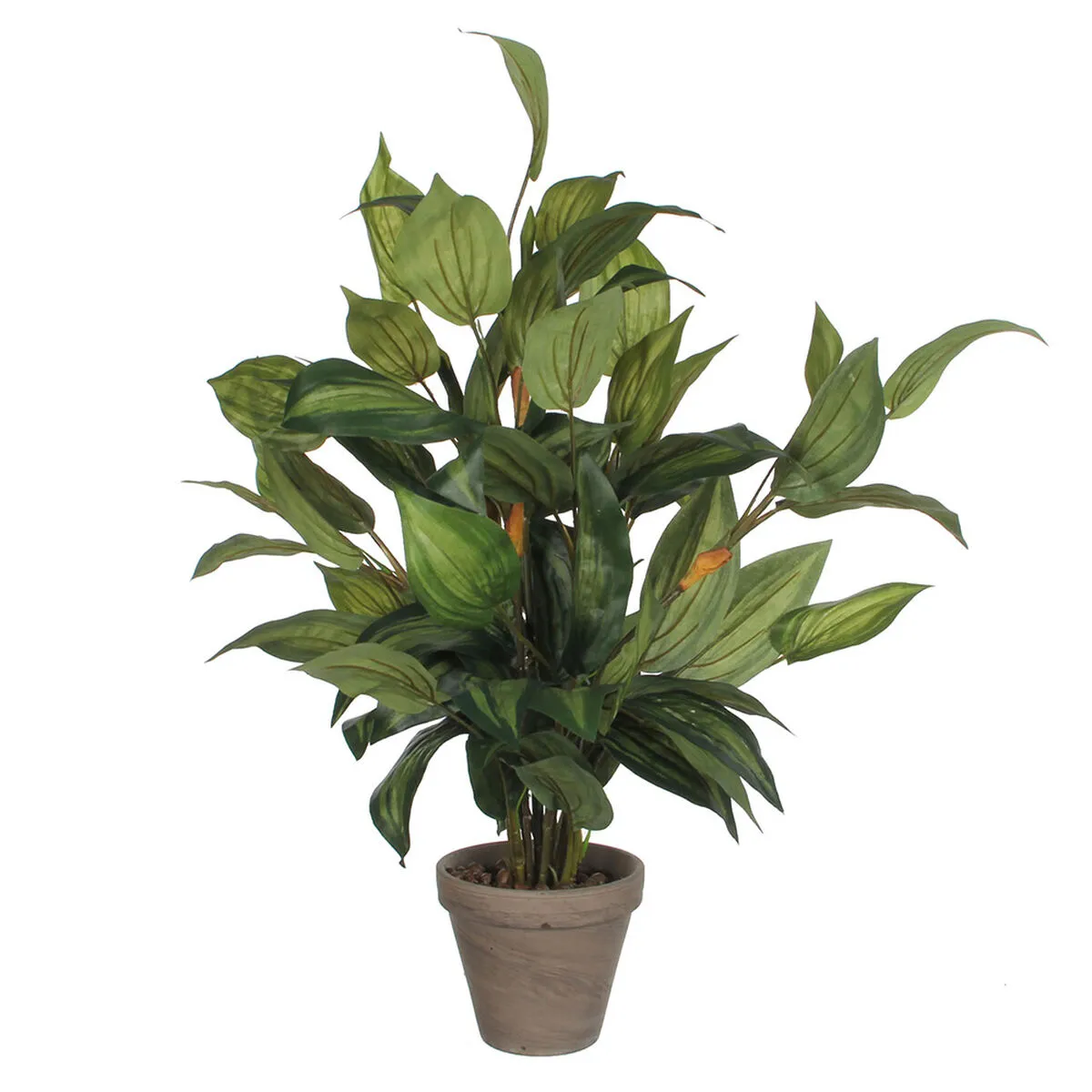 Pianta Decorativa Mica Decorations Hosta Verde PVC (15,5 x 65 cm)