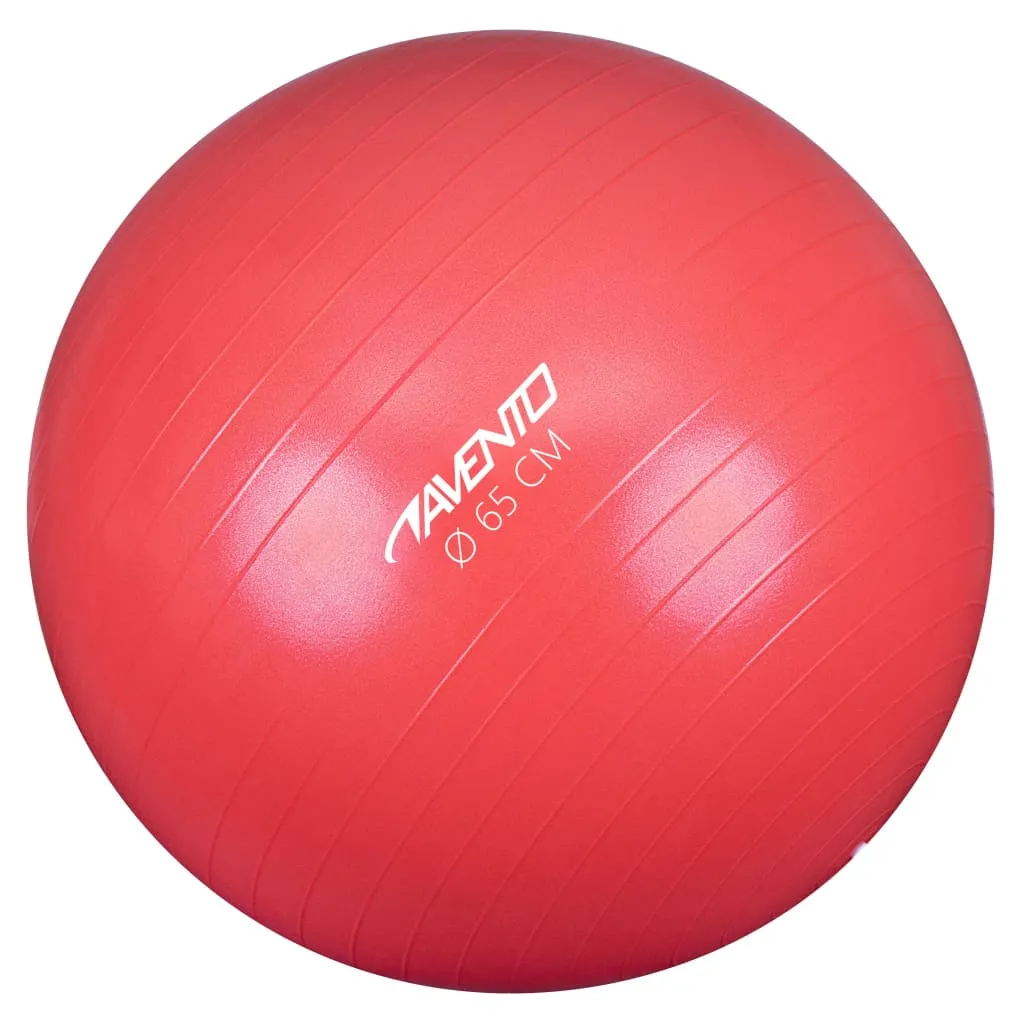 Avento Palla per Fitness/Palestra Diametro 65 cm Rosa