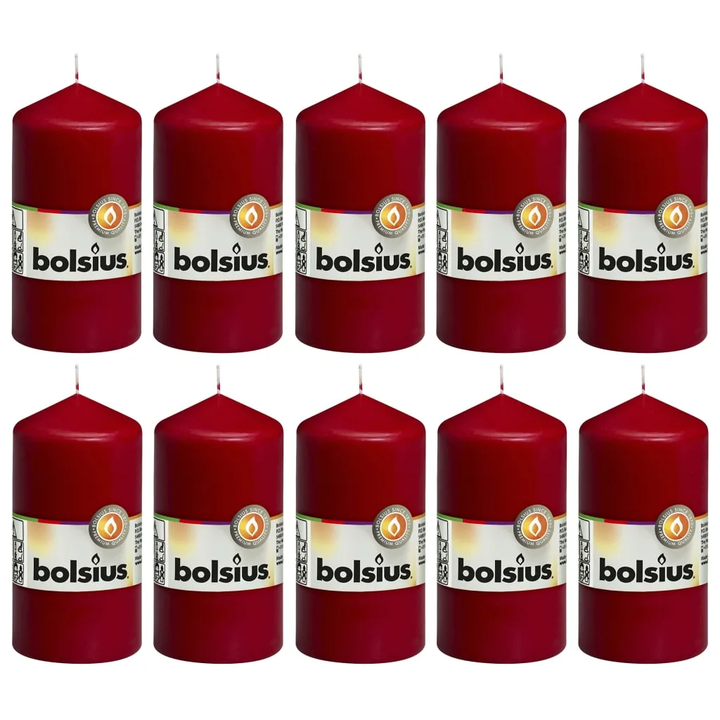 Bolsius Candele Moccoli 10 pz 120x58 mm Rosso Vino