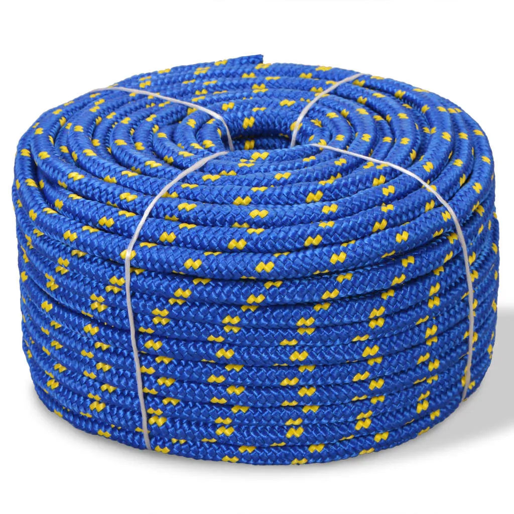 vidaXL Corda Nautica in Polipropilene 6 mm 100 m Blu