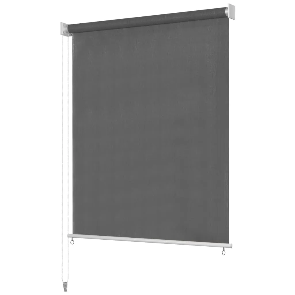 vidaXL Tenda a Rullo per Esterni 100x140 cm Antracite