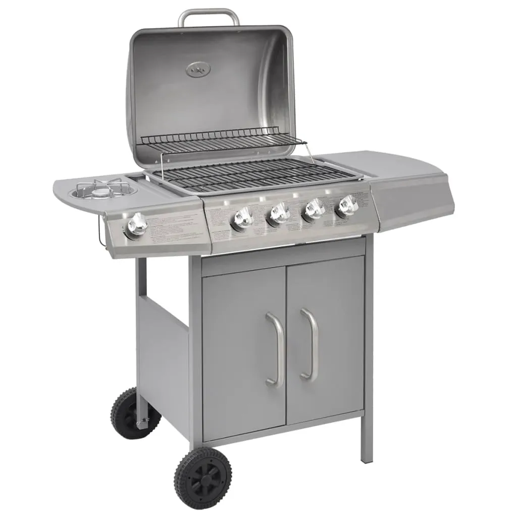 vidaXL Griglia Barbecue a Gas 4+1 Fornelli Argento