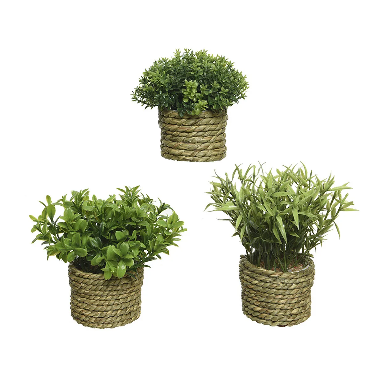 Pianta Decorativa Basic Home Artificiale Corda Verde 16 x 3 cm