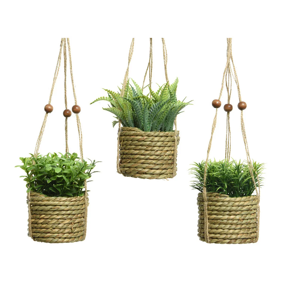 Pianta Decorativa Everlands 8 x 12 cm Ciondolo Corda Verde PVC