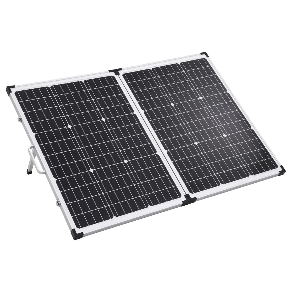 vidaXL Valigetta con Pannello Solare Pieghevole 120W 12V