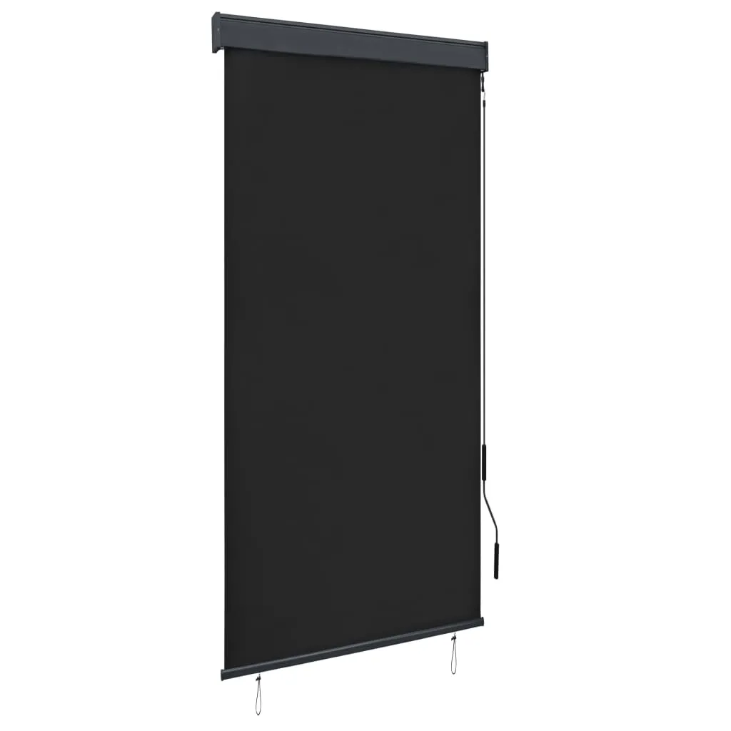 vidaXL Tenda a Rullo per Esterni 100x250 cm Antracite