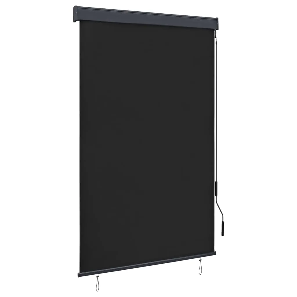 vidaXL Tenda a Rullo per Esterni 120x250 cm Antracite