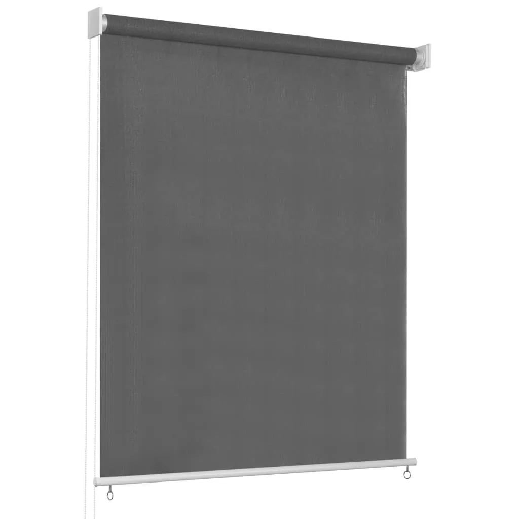 vidaXL Tenda a Rullo per Esterni 60x230 cm Antracite