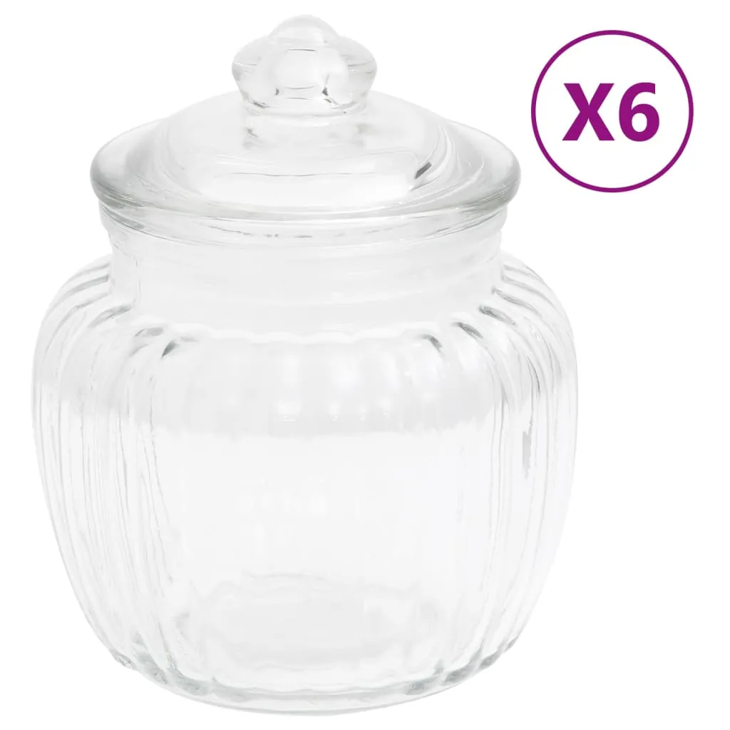 vidaXL Barattoli 6 pz 500 ml Vetro