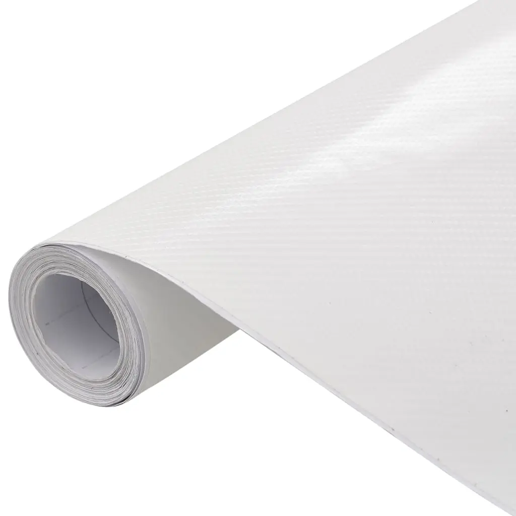 Pellicole per Auto 2 pz 4D Bianco 100x150 cm+50x150 cm