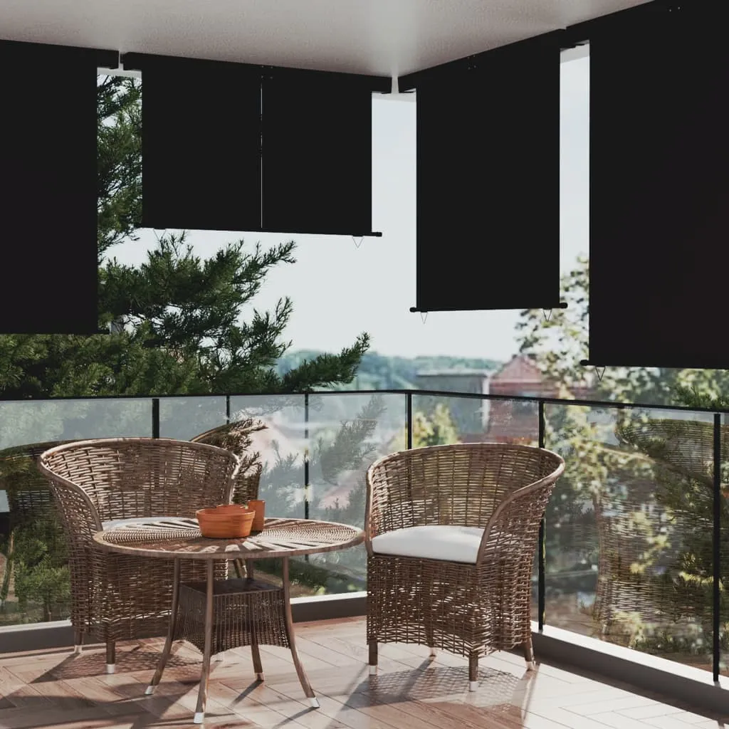 vidaXL Tendalino Laterale per Balcone 175x250 cm Nero