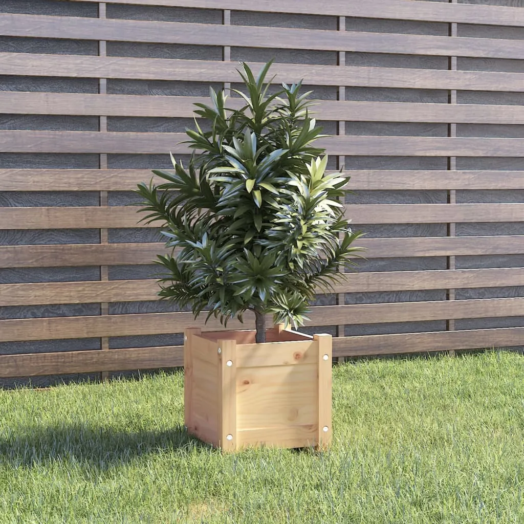 vidaXL Fioriera da Giardino 31x31x31 cm in Legno Massello di Pino