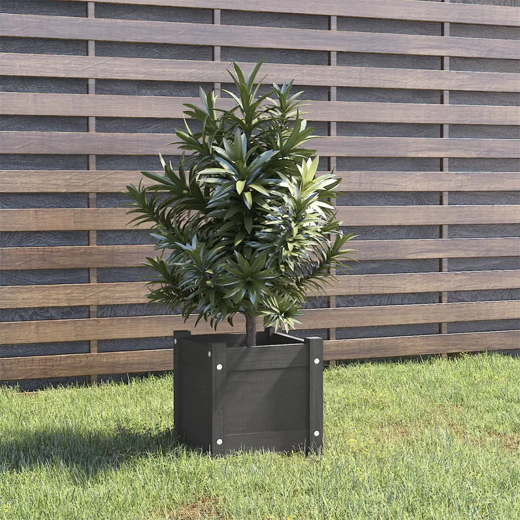 vidaXL Fioriera da Giardino Grigia 31x31x31 cm Legno Massello di Pino