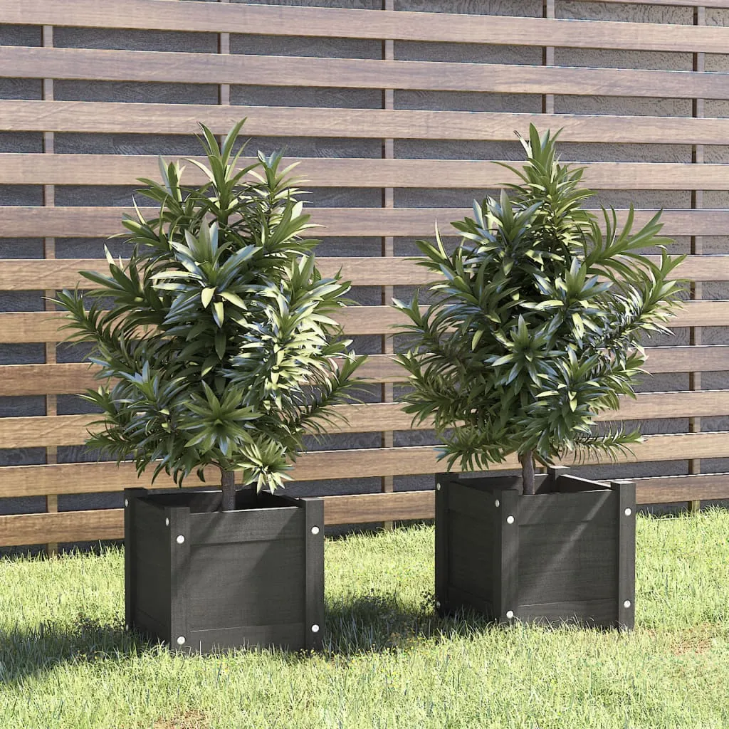 vidaXL Fioriere da Giardino 2 pz Grigie 31x31x31 cm in Legno di Pino