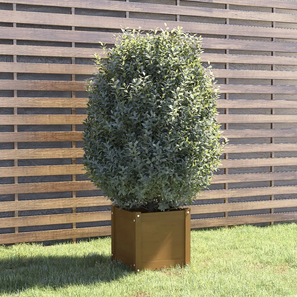 vidaXL Fioriera da Giardino Miele 40x40x40 cm Legno Massello di Pino