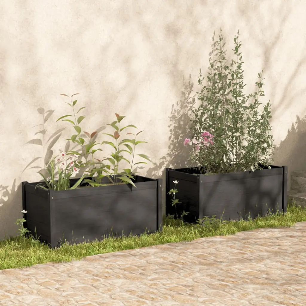 Fioriere da Giardino 2 pz Grigie 100x50x50 cm Massello di Pino