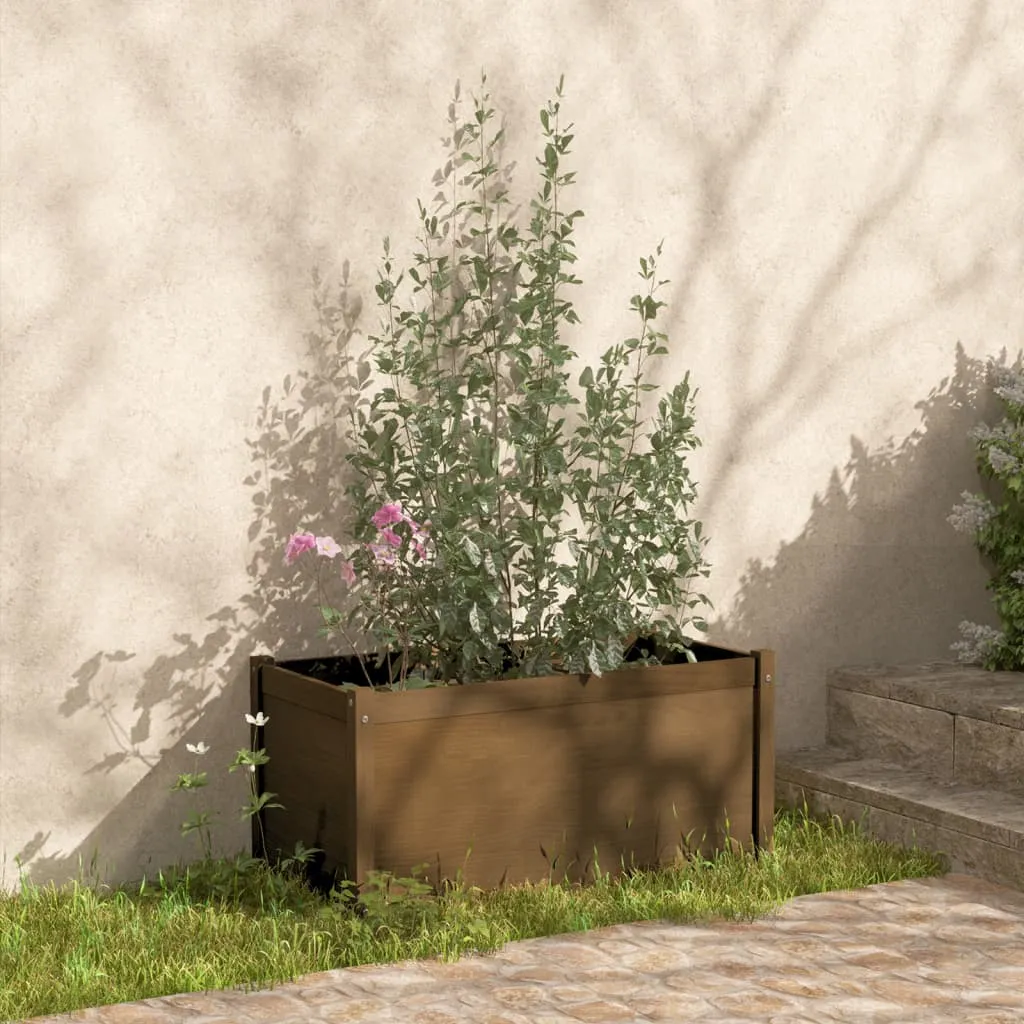 vidaXL Fioriera da Giardino Miele 100x50x50 cm Legno Massello di Pino