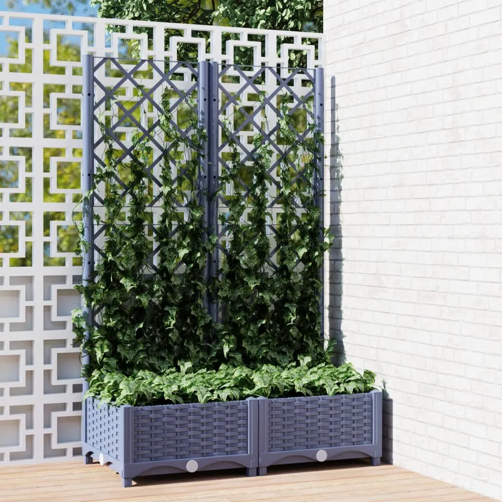 vidaXL Fioriera da Giardino e Graticcio Grigio Scuro 80x40x121,5 cm PP