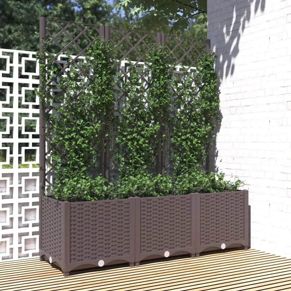 vidaXL Fioriera da Giardino con Graticcio Marrone 120x40x136 cm in PP