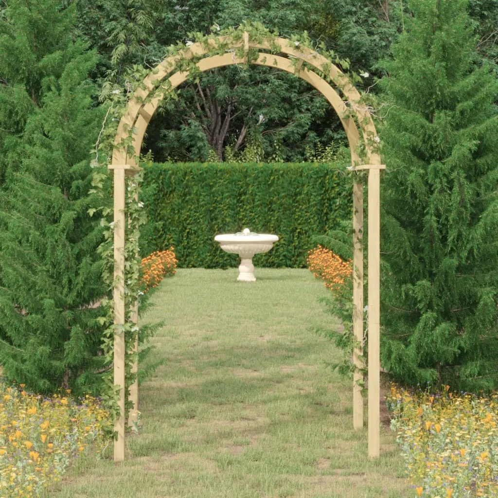 vidaXL Arco da Giardino 141x97x243 cm in Legno di Pino Impregnato