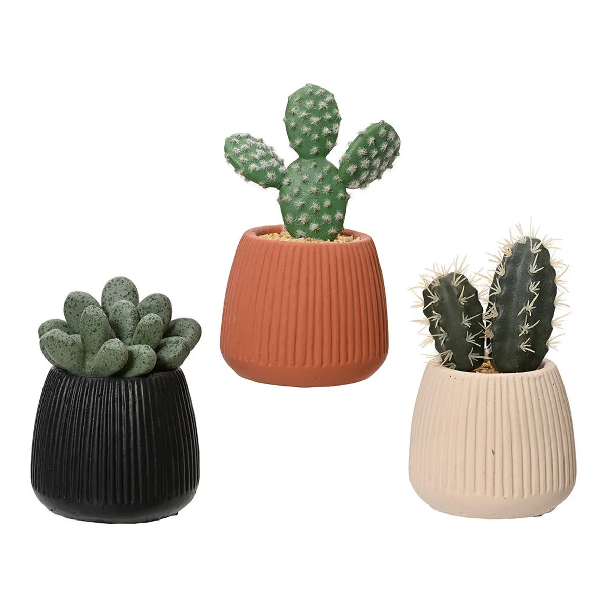 Pianta Decorativa EDM 808448 Cactus 14 cm