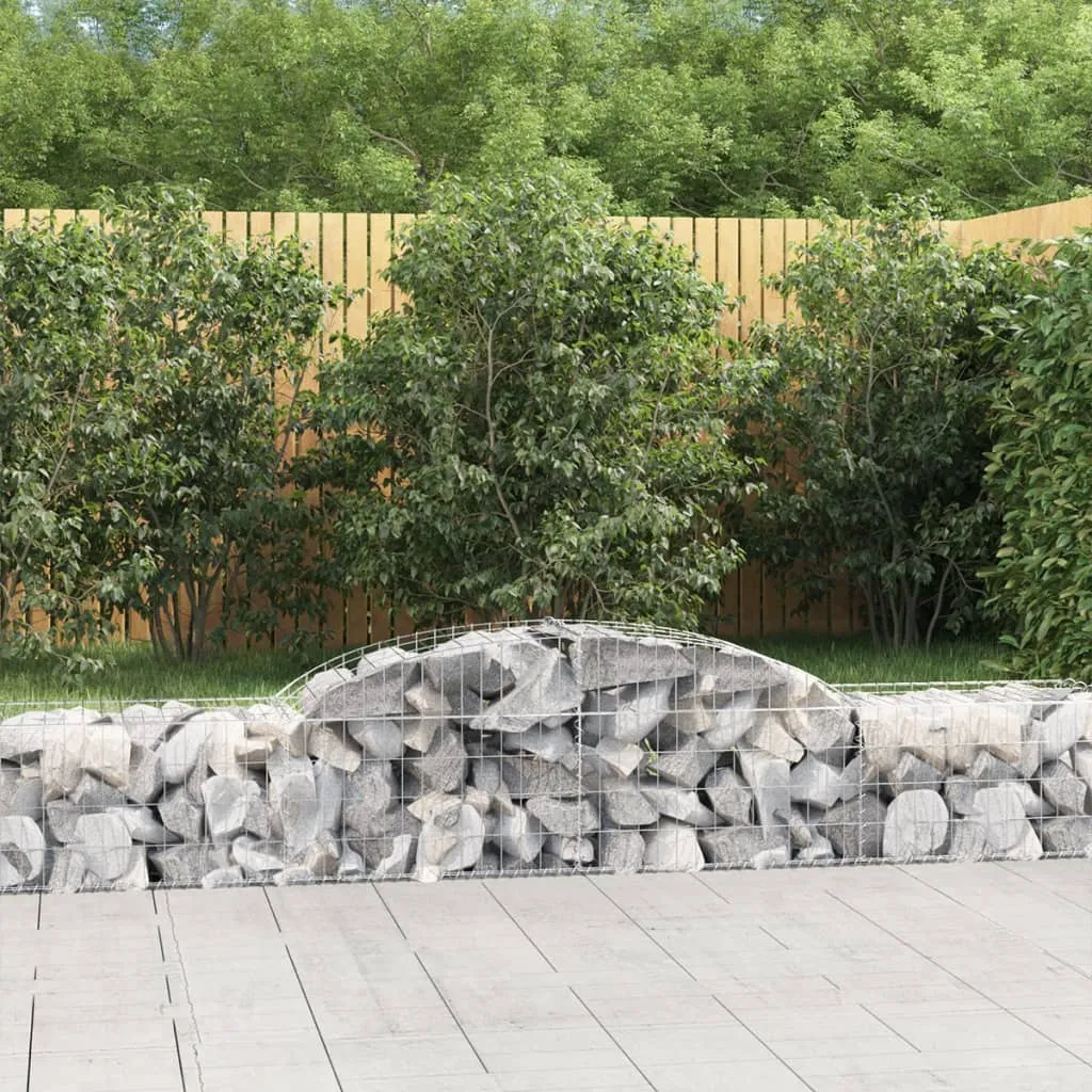 vidaXL Cesti Gabbioni ad Arco 2 pz 300x50x40/60 cm Ferro Zincato