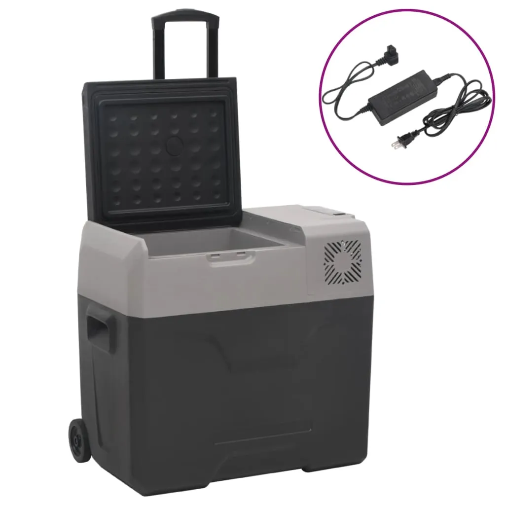 vidaXL Borsa Frigo con Ruote Adattatore Nera Grigia 30 L Polipropilene