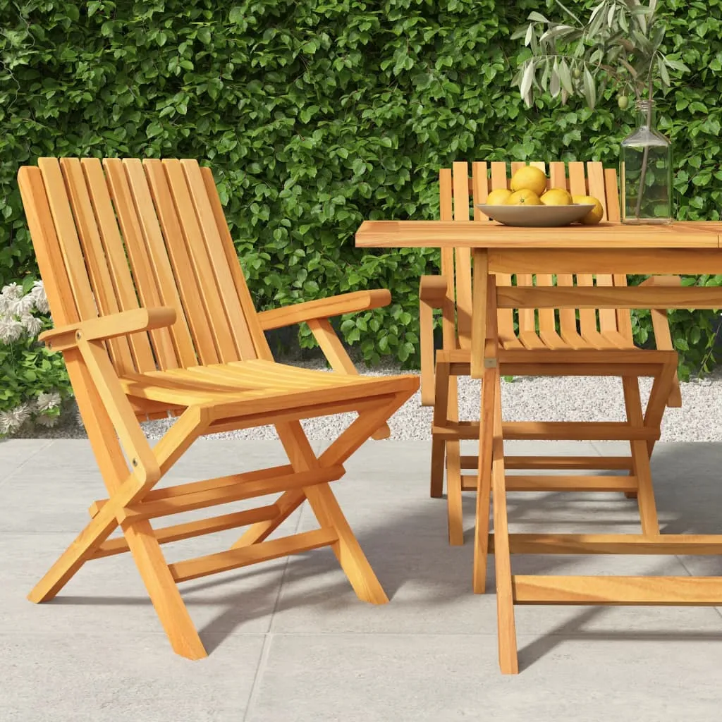 vidaXL Sedie da Giardino Pieghevoli 2pz 61x67x90cm Legno Massello Teak