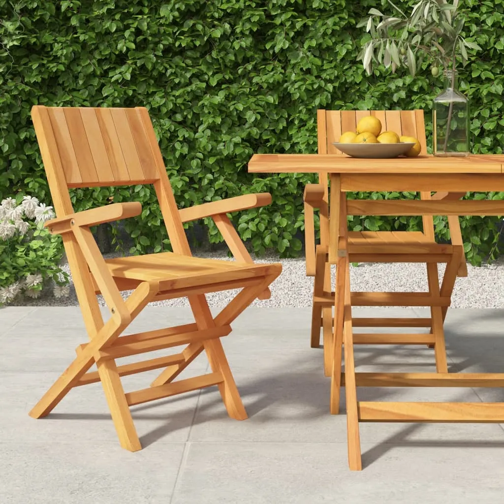 vidaXL Sedie da Giardino Pieghevoli 2pz 55x61x90cm Legno Massello Teak