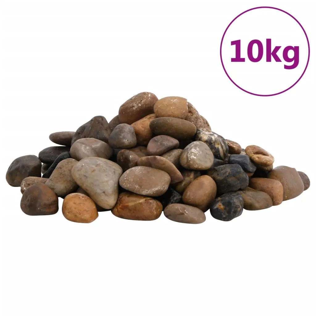 vidaXL Ciottoli Levigati 10 kg Colore Misto 2-5 cm