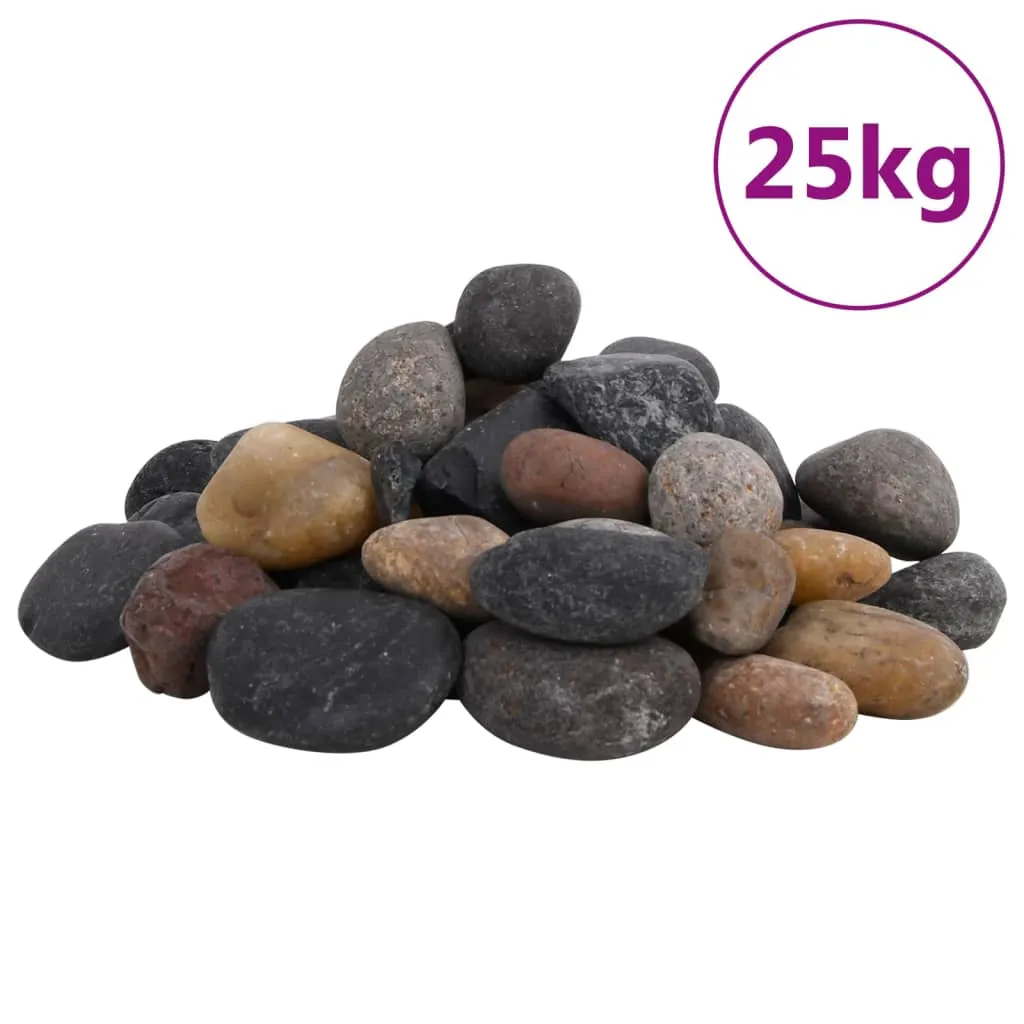 vidaXL Ciottoli Levigati 25 kg Colore Misto 5-8 cm